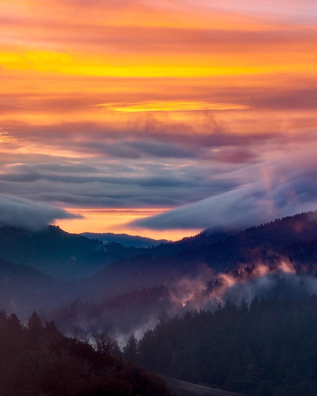 ‘panda sports’全球首台套高温气冷堆核电站示范工程主氦风机通过验收!(图2) xiongmao体育