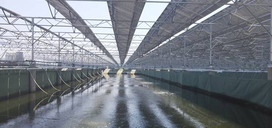 ‘熊猫体育’Karsa果真要走?Letme无意之中说漏嘴(图3) 熊猫体育